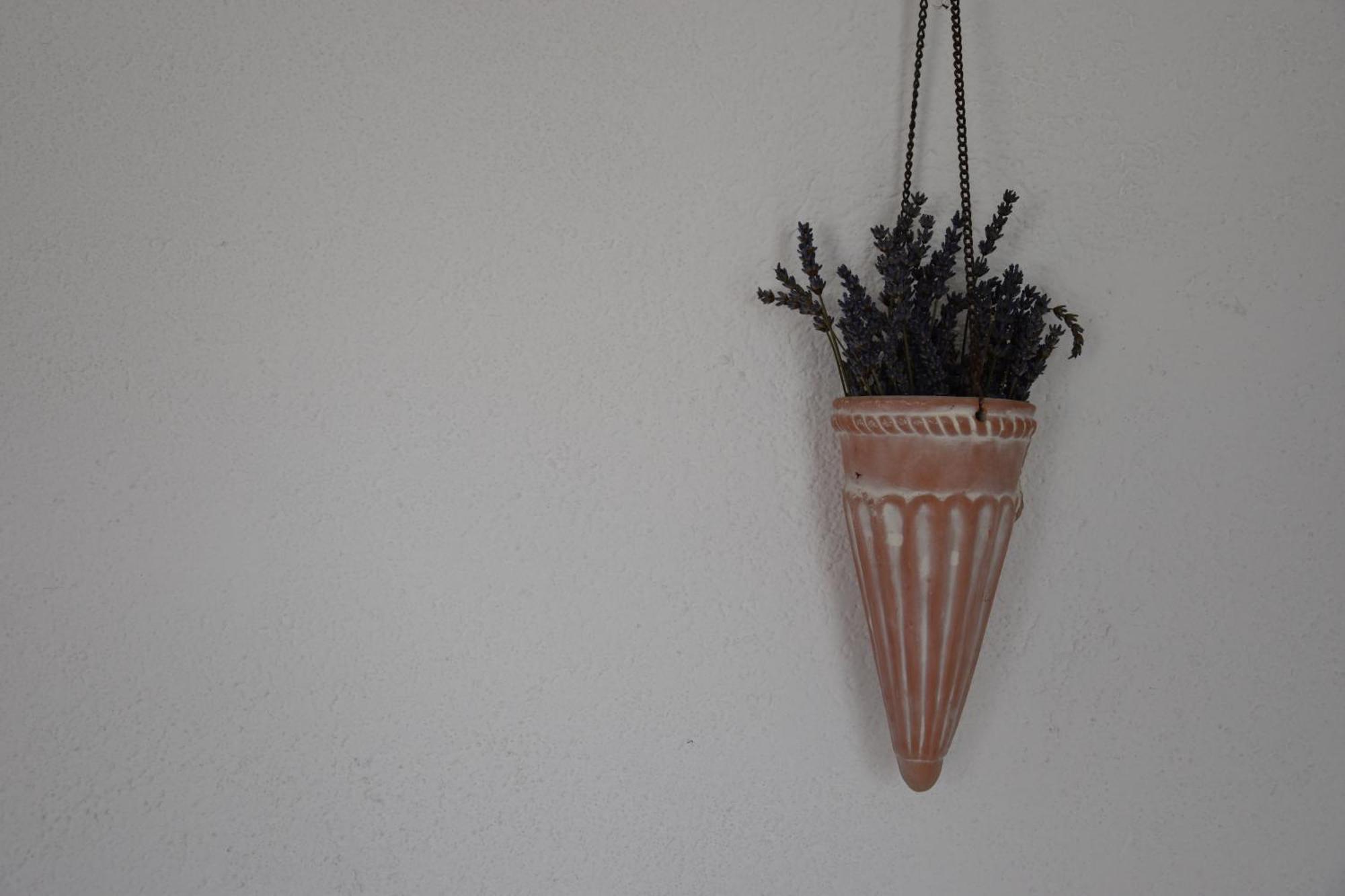Appartement Mono Kai Triangle à Trogir Extérieur photo